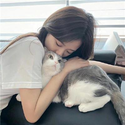 灵探特莱丝